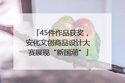 45件作品获奖，安化文创商品设计大赛展现“新国潮”