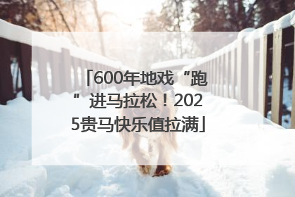 600年地戏“跑”进马拉松！2025贵马快乐值拉满