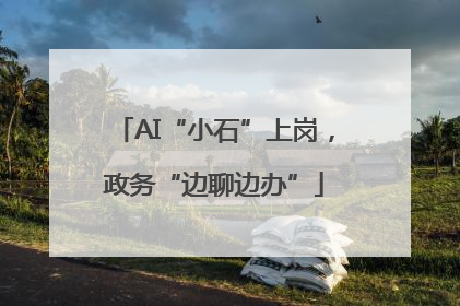AI“小石”上岗，政务“边聊边办”