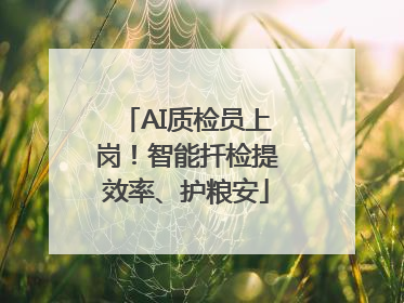 AI质检员上岗！智能扦检提效率、护粮安