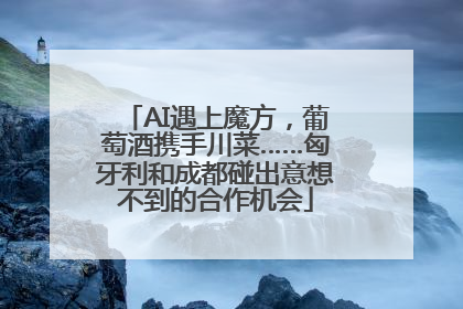 AI遇上魔方，葡萄酒携手川菜……匈牙利和成都碰出意想不到的合作机会