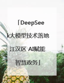 DeepSeek大模型技术落地江汉区 AI赋能智慧政务