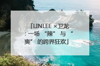 LINLEE ×卫龙：一场 “辣” 与 “爽” 的跨界狂欢