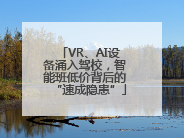 VR、AI设备涌入驾校，智能班低价背后的“速成隐患”